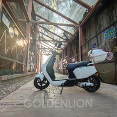Golden Lion 2026 ΧΩΡΙΣ ΔΙΠΛΩΜΑ  JS3 3000 W 26 AH  1 μπαταρία λιθιου-thumb-3