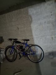 Honda GLX 2026-thumb-3