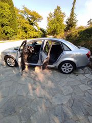 Audi A4 2001 1.6-thumb-11