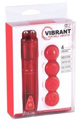 Vibrator with 4 Attachments