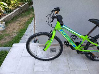 All - Mountain Clermont 2022 Hard Tail