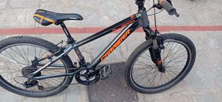 All - Mountain Carrera 2023