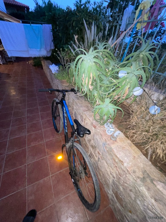 All - Mountain Ideal 2019 του 19 μοντέλο ideal strobe