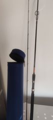 Pregio passion medium shore jigging 10-45cw