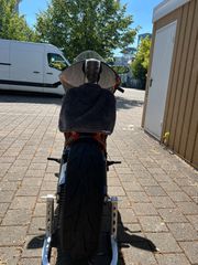 KTM RC-8 1190 2009-thumb-8