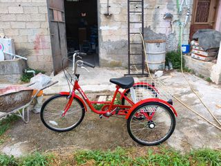Τρίκυκλα Orient 2020 Orient Cargo Rear Basket Τρίκυκλο Ποδήλατο Ενηλίκων