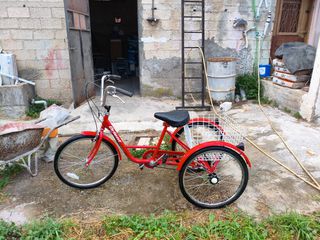 Τρίκυκλα Orient 2020 Orient Cargo Rear Basket Τρίκυκλο Ποδήλατο Ενηλίκων-thumb-1
