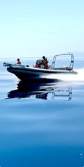 Φουσκωτό - Rib 2010 680-thumb-7