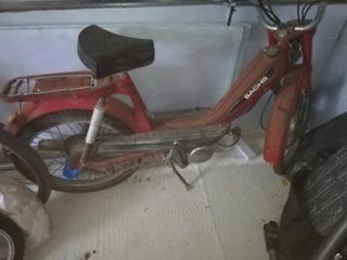 Sachs 1980