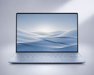 DELL XPS 13 DX13260 13.4'' 2.5K TOUCH/C5-320/16GB/512GB SSD/Intel Graphics/Win 11 Pro/2Y PROSUPPORT/Sky