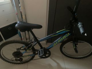 All - Mountain Alpina 2023
