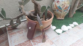 συλλεκτικό μαχαίρι Schrade Old Timer 7OT-thumb-9