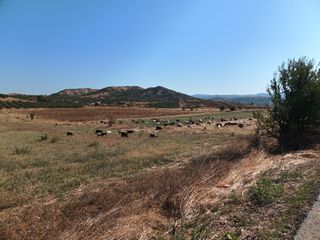 Δικαιώματα βοσκότοπων (130)