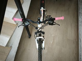 All - Mountain Atala 2018
