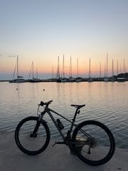 All - Mountain Specialized 2020 Pitch Comp 2X 2020