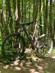 All - Mountain Specialized 2020 Pitch Comp 2X 2020-thumb-3