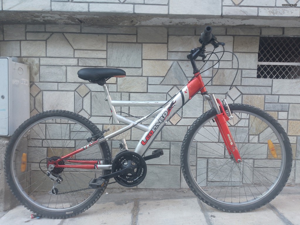 All - Mountain Leopard 2020