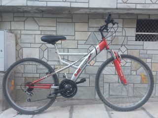 All - Mountain Leopard 2020