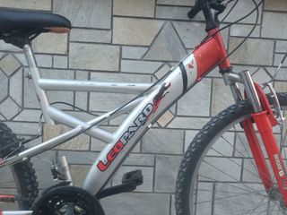 All - Mountain Leopard 2020-thumb-1