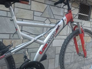 All - Mountain Leopard 2020-thumb-2