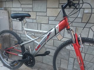 All - Mountain Leopard 2020-thumb-3