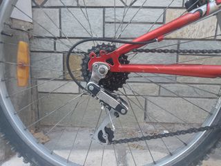All - Mountain Leopard 2020-thumb-5
