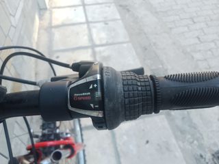 All - Mountain Leopard 2020-thumb-6