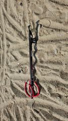 Pathos saragos evo cardon 75-thumb-4