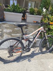 Downhill - Enduro - Trail Cube 2016 Frizz