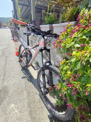 Downhill - Enduro - Trail Cube 2016 Frizz-thumb-1