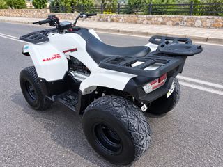 Aeon Overland 180 2016