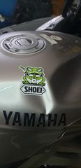 Yamaha TDM 900 2006 TDM 900-thumb-3