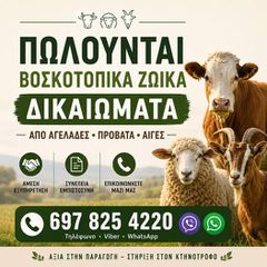 ΠΩΛΟΥΝΤΑΙ ΖΩΙΚΑ - ΒΟΣΚΟΤΟΠΙΚΑ ΔΙΚΑΙΩΜΑΤΑ