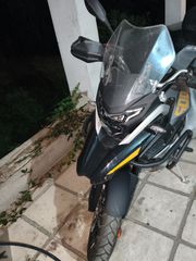 Daytona Maverick 2023-thumb-1
