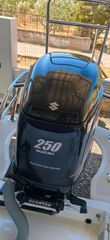 Suzuki 2006
