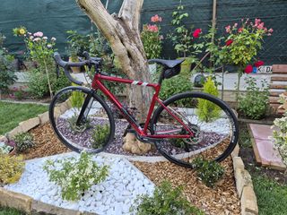 Δρόμου - Κούρσας Cannondale 2025 Caad13