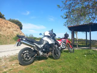 Triumph Tiger 955i 2006-thumb-2