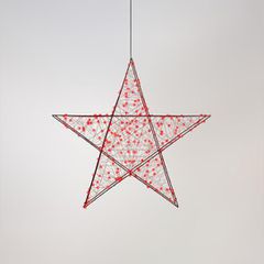 ΑΣΤΕΡΙ ΦΩΤΙΖΟΜΕΝΟ 78cm, 240 LED, 4,5V ΜΕΤΑΣΧΗΜΑΤΙΣΤΗ, TIMER, ΜΑΥΡΟΣ ΜΕΤΑΛΛΙΚΟΣ ΣΚΕΛΕΤΟΣ, ΜΑΥΡΟ ΧΑΛΚΙΝΟ ΚΑΛΩΔΙΟ, ΚΟΚΚΙΝΟ LED, ΠΡΟΕΚΤΑΣΗ ΠΑΡΟΧΗΣ 5m, IP44 Eurolamp 600-22521