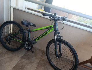 All - Mountain Carrera 2021 M4 2000 VB-thumb-2