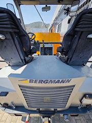 Ντάμπερ - Dumper 2015 BERGMANN 1200R 2015-thumb-1