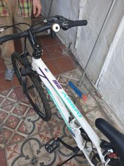 All - Mountain Cross 2023 Daisy Alloy-thumb-1