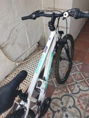 All - Mountain Cross 2023 Daisy Alloy-thumb-4
