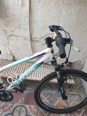 All - Mountain Cross 2023 Daisy Alloy-thumb-5
