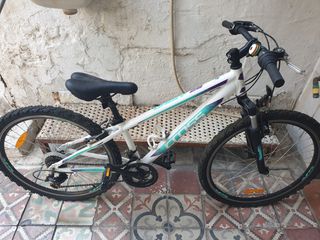 All - Mountain Cross 2023 Daisy Alloy-thumb-6