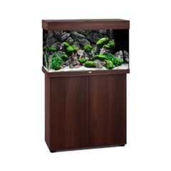 ΕΝΥΔΡΕΙΟ JUWEL Rio 125 LED