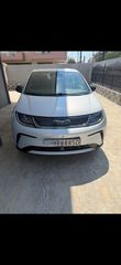 BYD DOLPHIN 2025