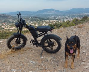 Fat Bikes Ridstar 2024 Z8