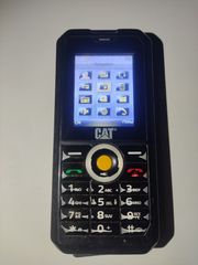 Cat B30