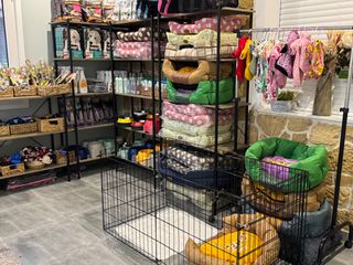 www.dogcenter.shop-thumb-12