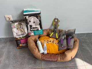 www.dogcenter.shop-thumb-13